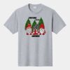 P&C Unisex 4.5oz Fan Favorite Cotton T-Shirt PC450 Thumbnail