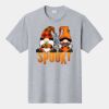 P&C Unisex 4.5oz Fan Favorite Cotton T-Shirt PC450 Thumbnail