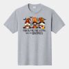 P&C Unisex 4.5oz Fan Favorite Cotton T-Shirt PC450 Thumbnail
