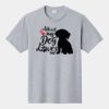 P&C Unisex 4.5oz Fan Favorite Cotton T-Shirt PC450 Thumbnail