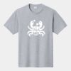 P&C Unisex 4.5oz Fan Favorite Cotton T-Shirt PC450 Thumbnail