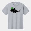 P&C Unisex 4.5oz Fan Favorite Cotton T-Shirt PC450 Thumbnail